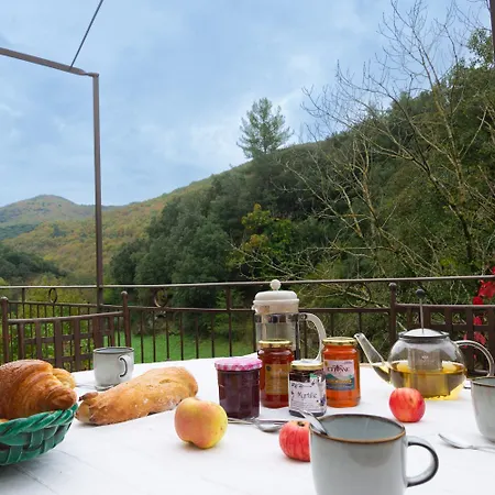 Ecogite Cevenola 5/6 Personnes Holiday home Molezon